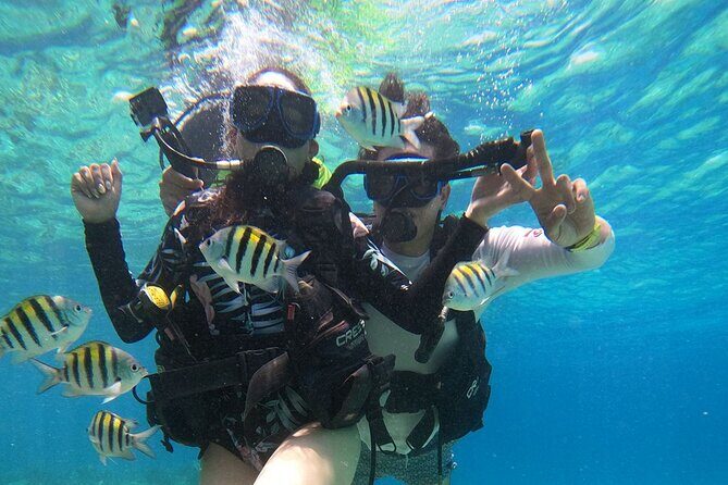 Cozumel Scuba Dive at Chankanaab - Final Thoughts