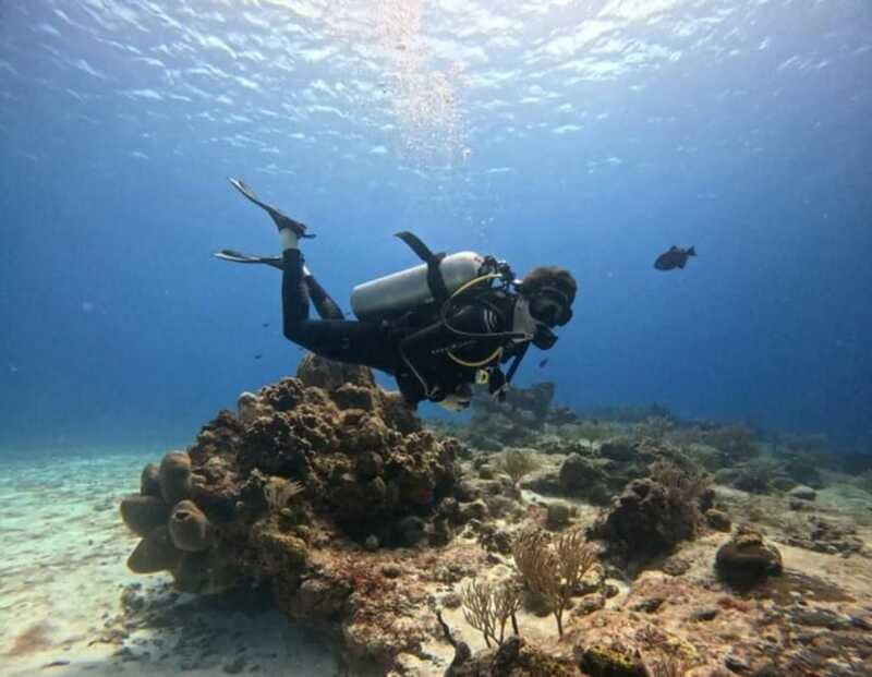 Cozumel Scuba Diving: 2 Tanks in the National Park for certified divers - Experience Quality and Customer Feedback