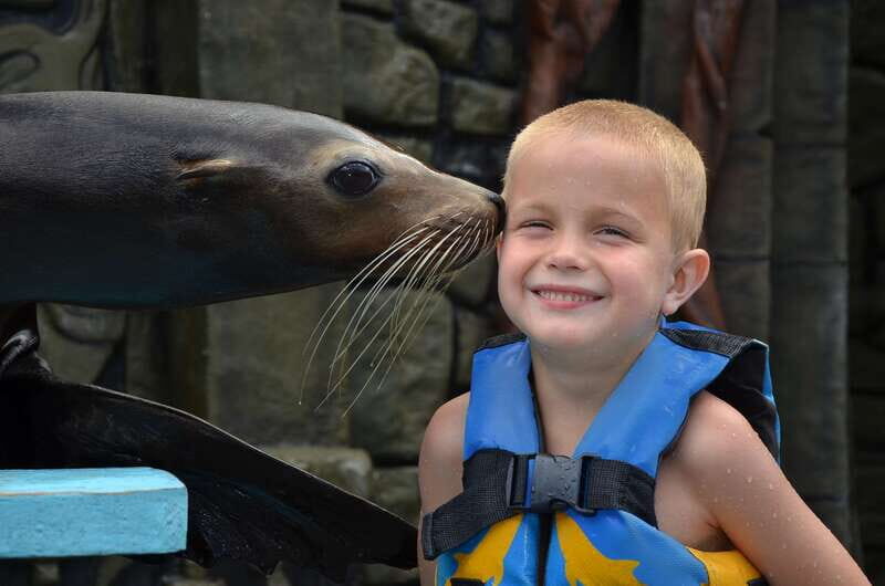 Cozumel: Sea Lion Program at Chankanaab Beach Adventure Park - What to Expect from the Sea Lion Program