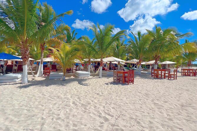 Cozumel: Shore Excursions for Royal Caribbean Cruise Passengers - The Value Proposition