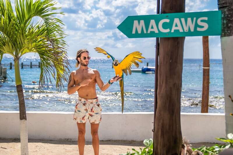 Cozumel: Snorkel and Swim with Stingrays - Final Thoughts: Is This Tour Right for You?