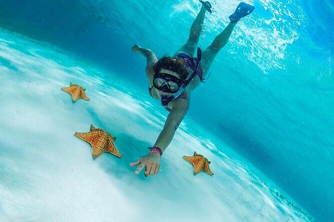 Cozumel Snorkel at El Cielo & 2 Reefs! Transportation from Tulum - Why This Tour Stands Out