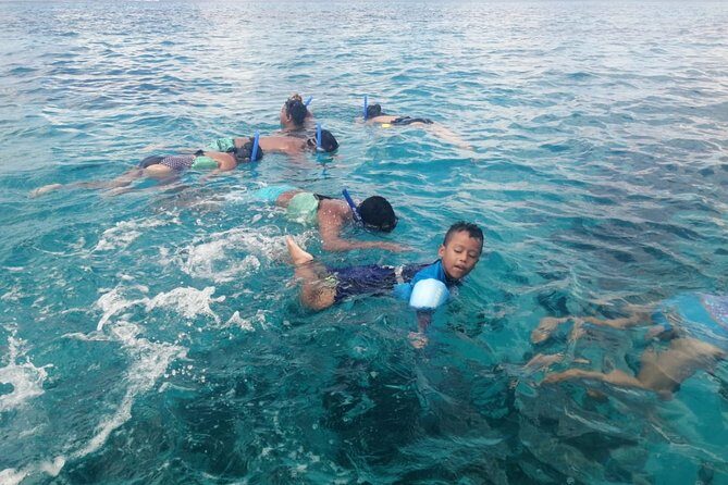 Cozumel Snorkel Nature Experience! Transportation from Cancun & Playa Del Carmen - The Value of This Tour