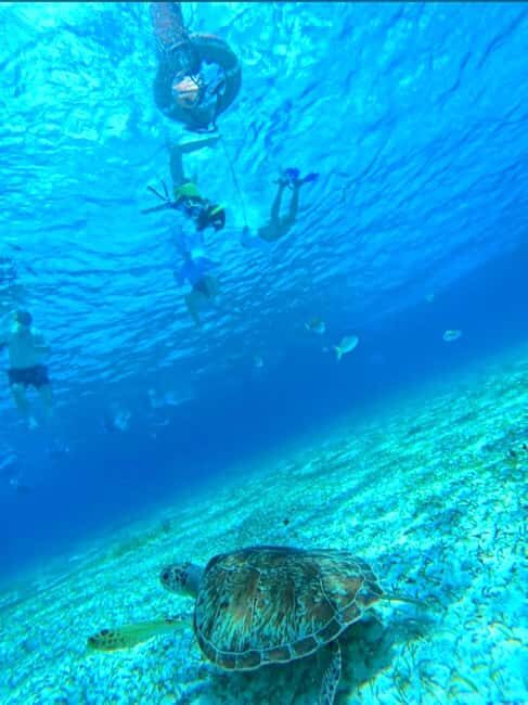 Cozumel: snorkeling on reefs + visit to "El Cielo" - Key Points