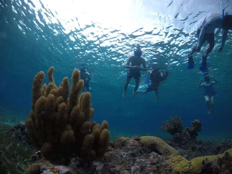 Cozumel: snorkeling on reefs + visit to "El Cielo" - FAQs