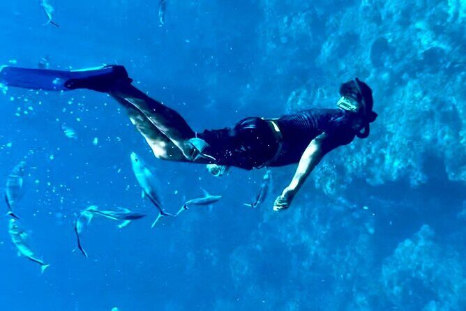 Cozumel Snorkeling Reef Experience with Ceviche and Beers - Who Should Consider This Tour?