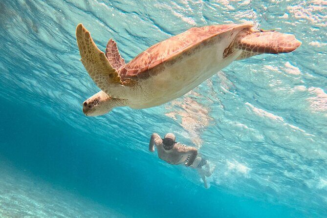 Cozumel Snorkeling to Palancar & El Cielo with drinks & Snack - Key Points