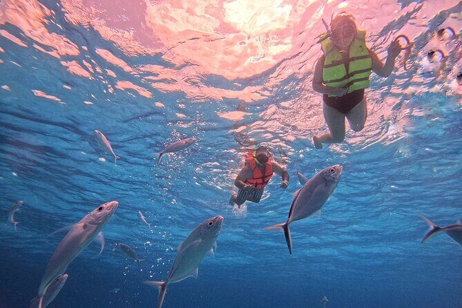 Cozumel Snorkeling to Palancar & El Cielo with drinks & Snack - A Closer Look at the Tour