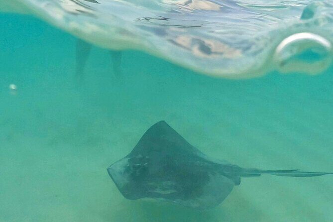 Cozumel Snorkeling to Palancar & El Cielo with drinks & Snack - The Experience from the Traveler’s Perspective
