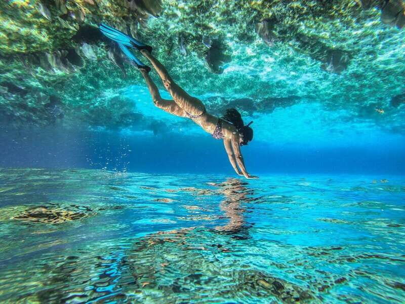 Cozumel: Snorkeling Tour at El Cielo Beach - What Makes This Tour Stand Out