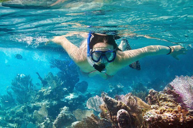 Cozumel Snorkeling Tour at Palancar & Colombia Reefs and El Cielo - A Detailed Look at the Tour Experience