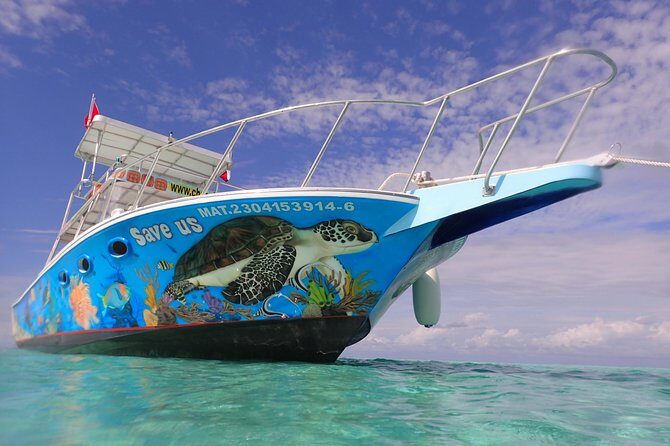 Cozumel Snorkeling Tour at Palancar & Colombia Reefs and El Cielo - Real-World Feedback from Travelers