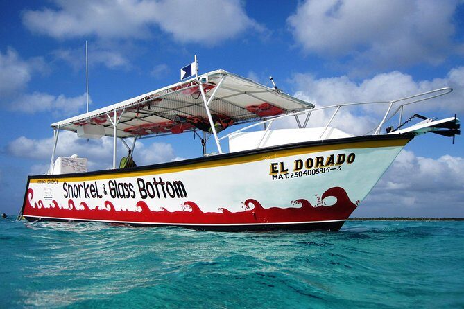 Cozumel Snorkeling Tour at Palancar & Colombia Reefs and El Cielo - Who Should Consider This Tour?