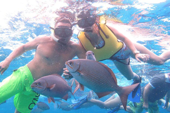 Cozumel Snorkeling Tour at Palancar & Colombia Reefs and El Cielo - FAQ