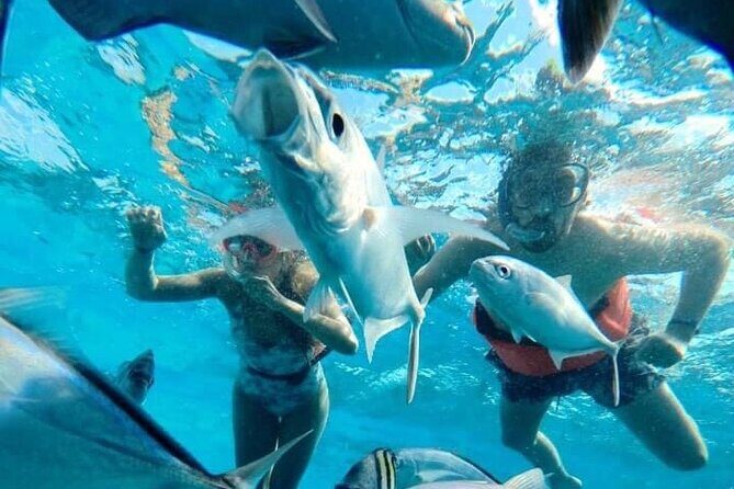 Cozumel Snorkeling Tour: Palancar, Columbia and El Cielo Reefs - What Travelers Say