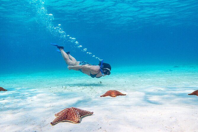 Cozumel Starfish and Tropical Reef Snorkeling by Powerboat with Lunch - In The Sum Up