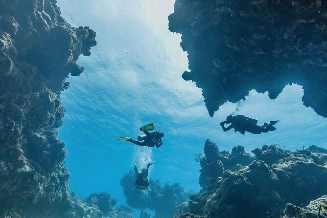 Cozumel underwater 2 Tank Dive by boat - Equipment & Comfort