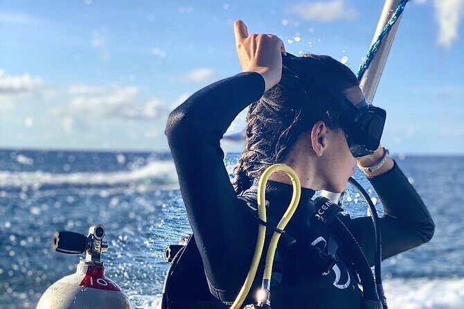 Cozumel underwater 2 Tank Dive by boat - The Sum Up