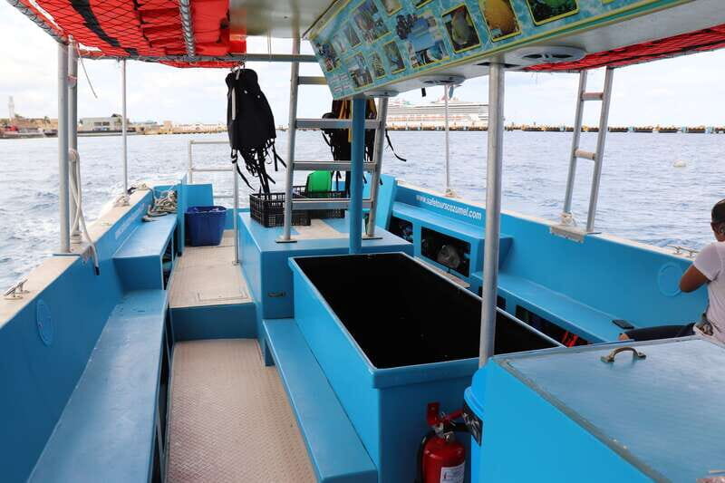 Cozumel: VIP Glass Bottom Boat & Snorkeling 3 Reefs Tour - A Closer Look at the Experience