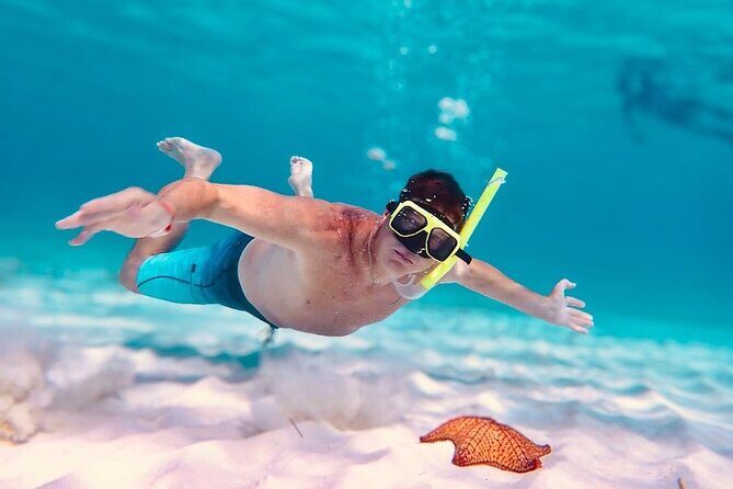 Cozumel's Best: Snorkel Adventure in El Cielo and El Cielito - What to Expect from the Experience