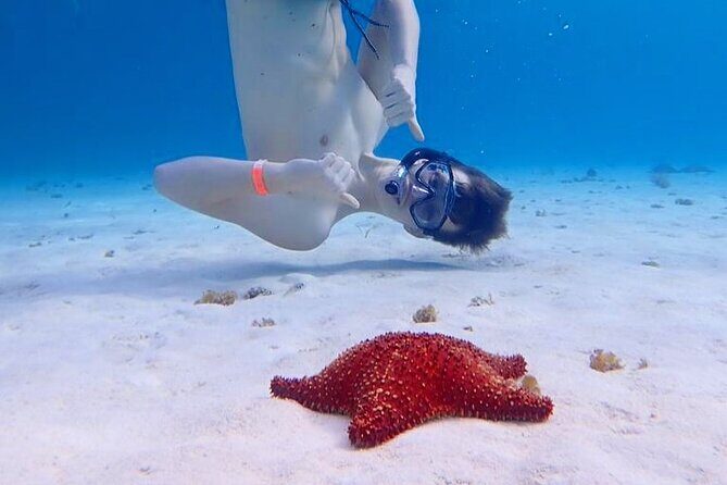 Cozumel's Best: Snorkel Adventure in El Cielo and El Cielito - FAQ