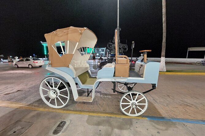 Cozumel's Heart Electric and Horse-drawn Carriage Tour - What You Can Expect During the Itinerary