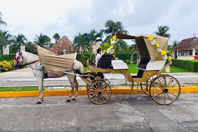 Cozumel's Heart Electric and Horse-drawn Carriage Tour - Final Thoughts