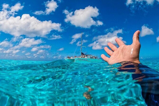 Cozumel's Reefs in El Cielo, Palancar and Columbia Guided Tour - Authentic Traveler Insights