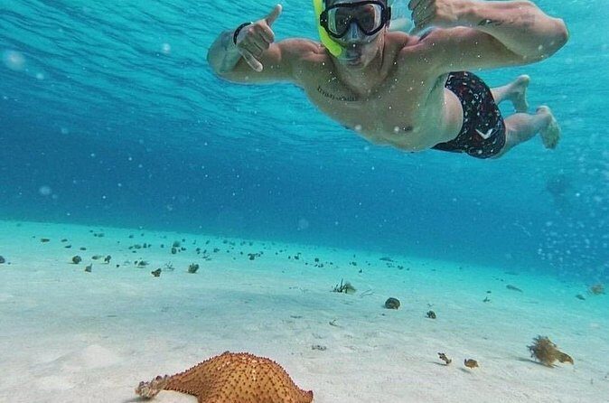 Cozumel's Reefs in El Cielo, Palancar and Columbia Guided Tour - Frequently Asked Questions