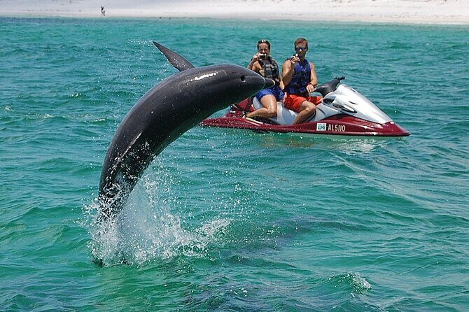 Crab Island Dolphin Jet Ski Adventure - The Experience in Detail