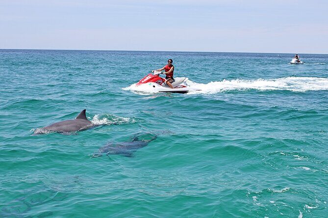 Crab Island Dolphin Jet Ski Adventure - Who Should Consider This Tour?