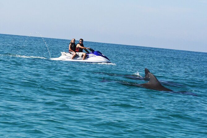 Crab Island Dolphin Jet Ski Adventure - Final Thoughts