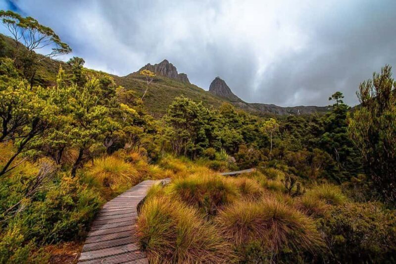 Cradle Mountain: Day Trip from Launceston with Lunch - A Deep Dive into the Cradle Mountain Day Trip
