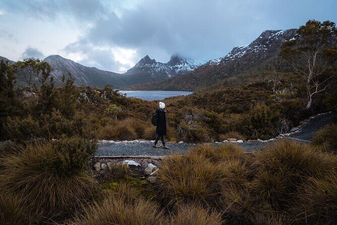 Cradle Mountain Half Day Park Explorer Tour with Lunch - Who Should Consider This Tour