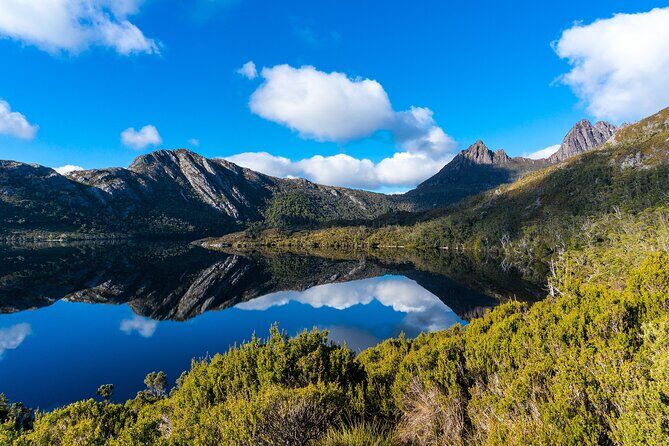 Cradle Mountain National Park Day Tour from Launceston - Practical Tips and Considerations