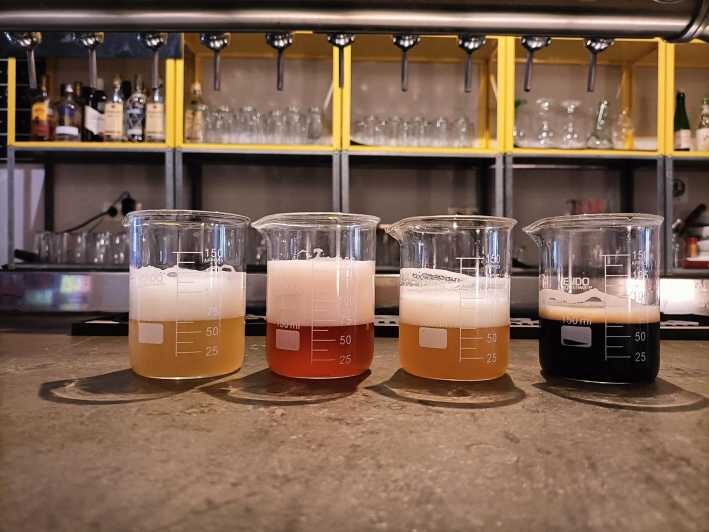 Craft Beer Tasting and tapas in Valencia - Key Points