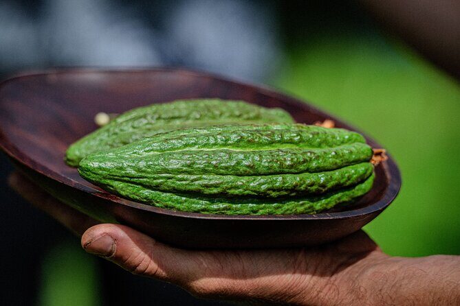 Craft Chocolate Tasting and Farm Experience on the Big Island - FAQ