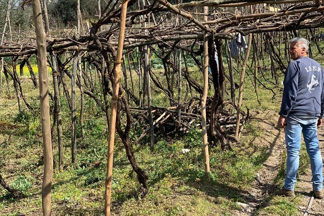 Craftsmanship and Flavors of Sorrento and Amalfi Coast - What We Think About the Price