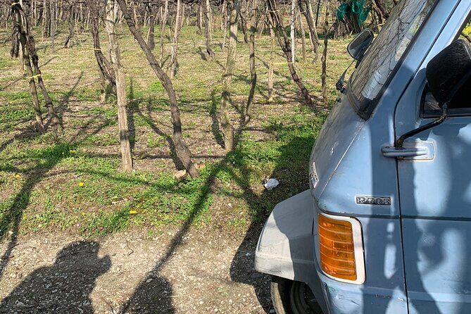 Craftsmanship and Flavors of Sorrento and Amalfi Coast - Who Should Consider This Tour?