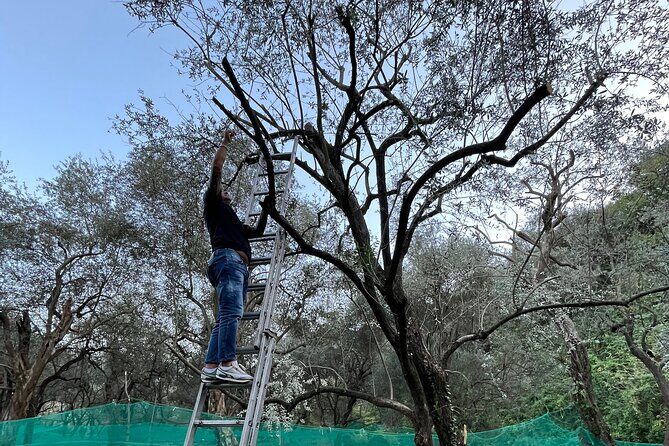 Craftsmanship and Flavors of Sorrento and Amalfi Coast - The Sum Up