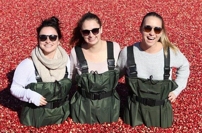 Cranberry Plunge and Hardy Lake Hike Adventure - Who Should Consider This Tour?