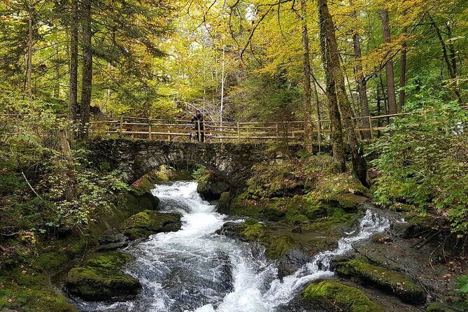 Crash Landing on you Film Location Private Tour from Interlaken - Who Might Want to Skip It?