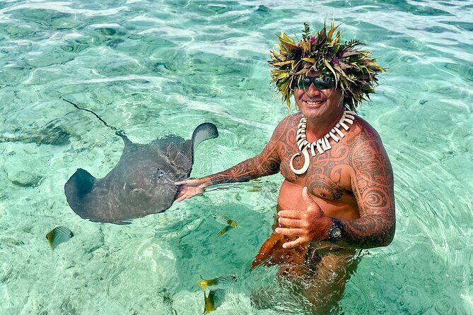 Crazyseahorseborabora Comfortable boat , sensational snorkeling . - Introduction