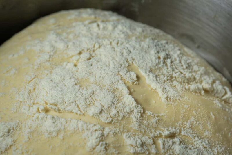 Create, Cook, Taste: Your Custom Pizza Course at La Stazione! - The Professional Oven and the Baking Process