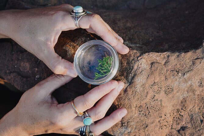 Create Energetic Flower Essences and Reconnect with Nature - The Value of This Experience