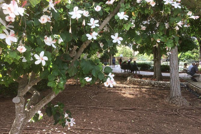 Create from your soul - FAQs