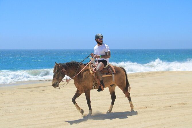 Create your COMBO: Choose 2 of the Best Tours in CABO - An In-Depth Look at the Adventure Itself