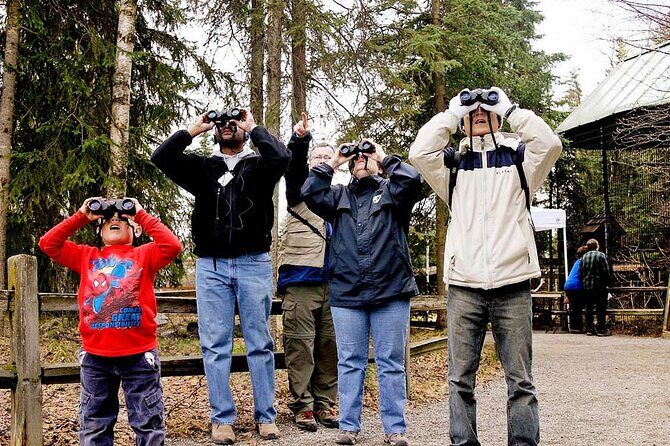 Creative Soul Scavenger Hunt Anchorage on the Tony Knowles Trail - What to Expect from Your Creative Adventure in Anchorage