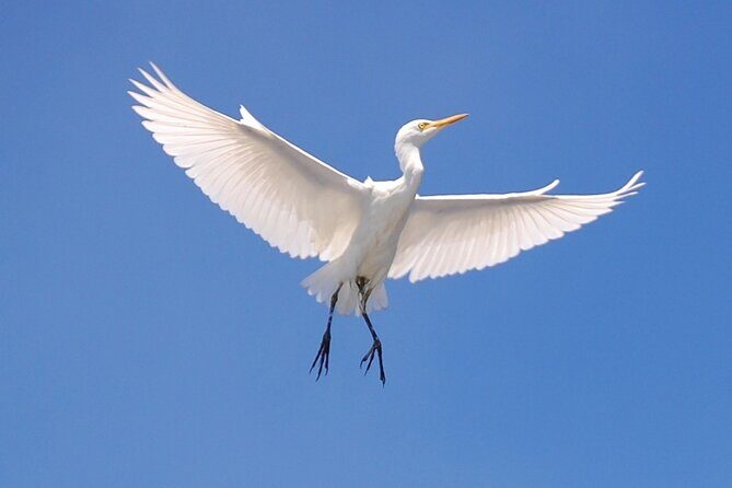 Creative Soul Scavenger Hunt( Hanapepe, Kauai) - What do reviewers say?