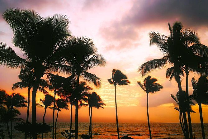 Creative Soul Scavenger Hunt( Kona Big island Hawaii) - What to Expect from the Creative Soul Scavenger Hunt